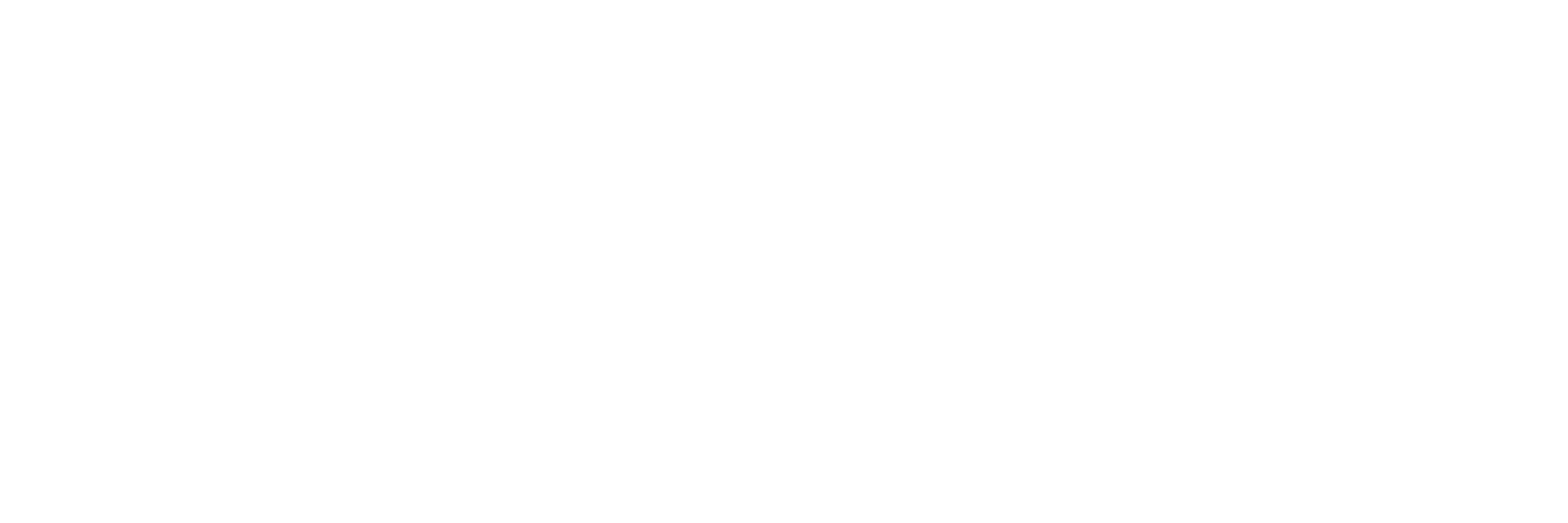 Alcides Teixeira Neto